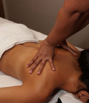 1000139481 1000139481